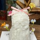 댕수무강 이미지