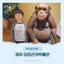 아프리카박물관 | 제주 중문 비오는날 아이랑 실내 아프리카박물관에서 이색체험