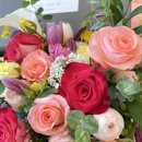 신월동212 이미지