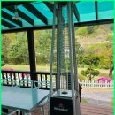 대명노르웨이숲 이미지