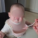 봄뜰어린이집 | [이유식] 이유식 준비물 구매 : 국민템 유명템 필수템으로 전부 구매해보고 한달 써본 후기