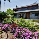 덕수리-2 이미지