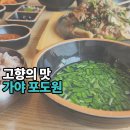 가야포도원