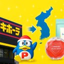 우즈메디컬케어 | 돈키호테에서 꼭 사야 할 뷰티템