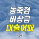 NH<b>콕</b> 비상금<b>대출</b> 마이너스 통장 주부 사회초년생 가능