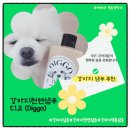 루루는포메 | 강아지 샴푸 추천 : 강아지 털 관리에 좋은 천연샴푸 디고