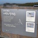 [충남 서천] 장항스카이워크 겨울여행 추천 필수코스 장항송림산림욕장 일몰 감상 후기🌅