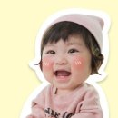 스마트디앤피