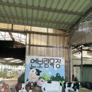(주)연보람 우유 이미지