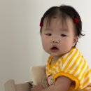 닥터지니성형외과의원