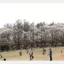 숲속의 오케스트라 이미지