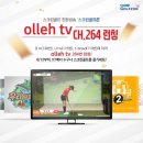 올레 골프존 헤럴드경제