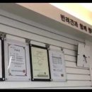 댕댕클라스 이미지