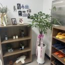 스튜디오필린