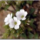 해여림식물원 이미지