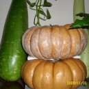 정철농장 이미지