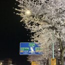 에이바우트커피아라스위첸점