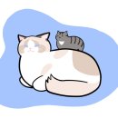 유포리아의원 이미지