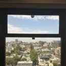 lee`s 2000클럽 | 6박7일 시드니 여행 2일차/ 필로소피 카페, MCA, 뉴타운, Lee's dumpling, 메시나 젤라또