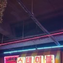 제주도 스테이블 | [제주도] 스테이블 파티 후기