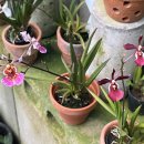 우성농원 이미지