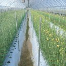 죽장축산 이미지