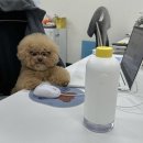 자유안경 이미지