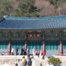 삼하사