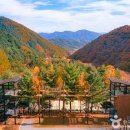 가리산길 이미지