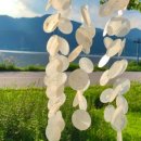 썬캐쳐자개 모빌 이미지