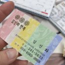 중앙한복(주단) | 울산 혼주한복 맞춤대여 김신화주단 내돈내산 후기