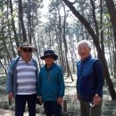 한산마을 이미지