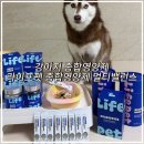 펫라이프 | 강아지 종합영양제 추천 | 라이프펫 멀티밸런스 급여 후기