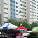 신방한라동백@ 3 이미지