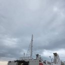 사리나무꽃이피는집 이미지