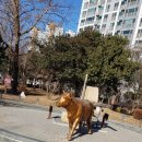 본리어린이공원 소 이미지