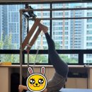 윤필라테스 | [윤 필라테스 후기] 통증을 줄이고 근육을 깨우다
