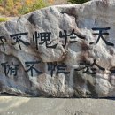 소나무어린이집 이미지