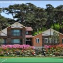 숲에 머물다 이미지