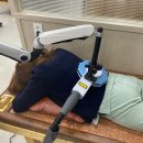 천재활의학과의원 이미지