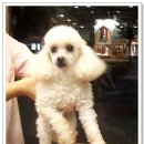 아주동물병원 이미지