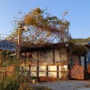 솔바우농장 이미지