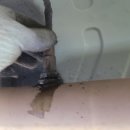 센스자동차정비 이미지