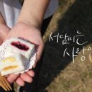 서담미가 이미지
