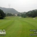 남촌한방백숙 이미지
