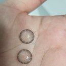 데일리안경원 이미지