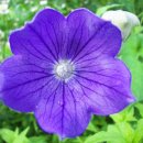 윤성농장 이미지