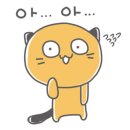 왕십리 고양이 위너펫 24시 이미지