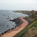 춘자민박 이미지