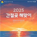 12월 해맞이 축제 이미지